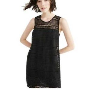 Abercrombie & Fitch NWT